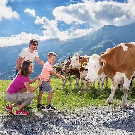 Apartman Sonneck Summer Card Included