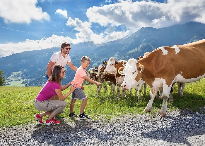 公寓 Sonneck Summer Card Included