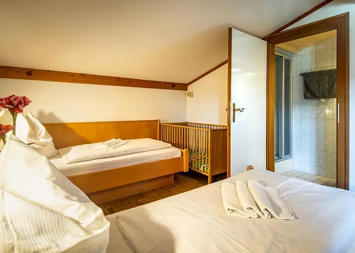 公寓 Sonneck Summer Card Included *